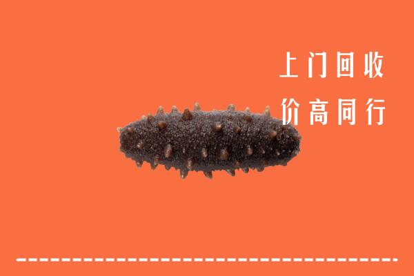 新北市回收海参