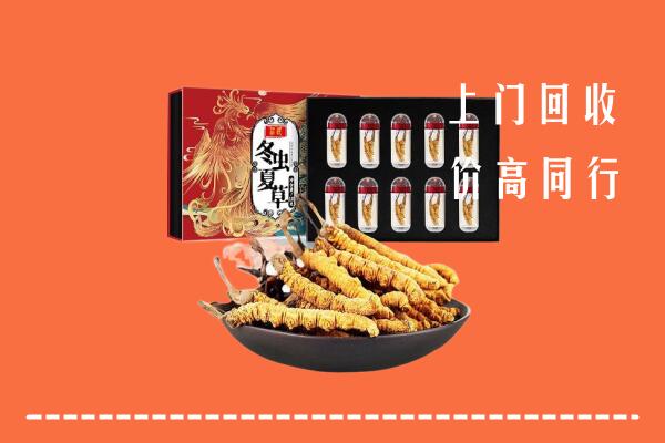 新北市回收虫草